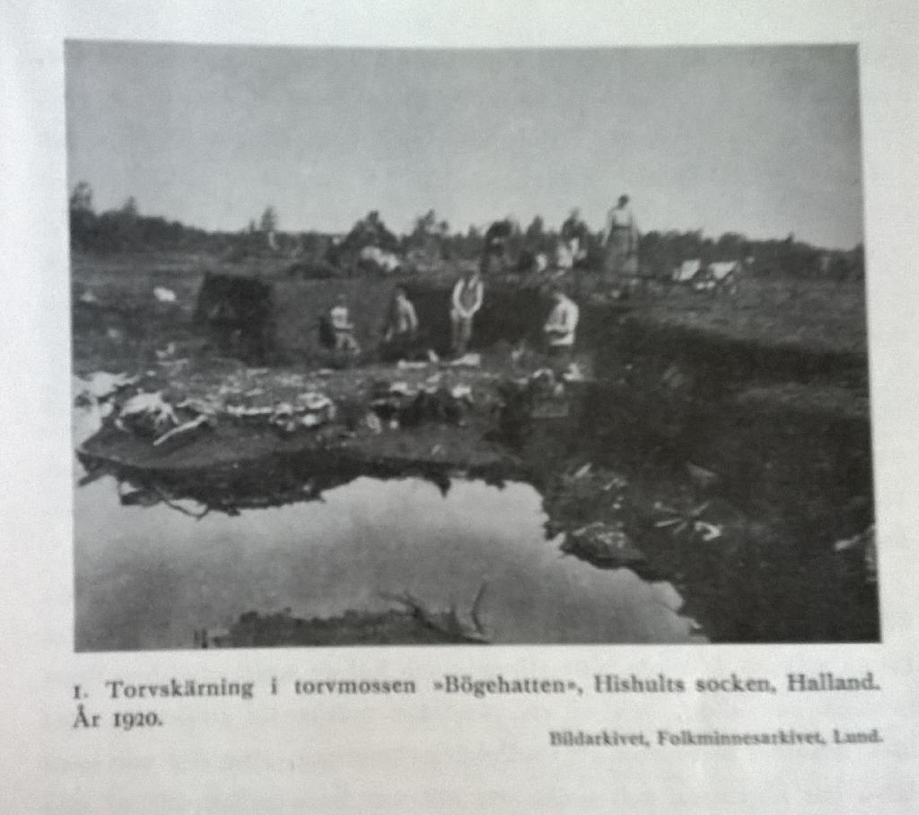 TORVUPPTAGNING I SYDÖSTRA SKÅNE I SLUTET AV 1800-TALET + TOBAKSODLING I HARJAGERS HÄRAD i Skåne PÅ 1870- och 1880-talen.
