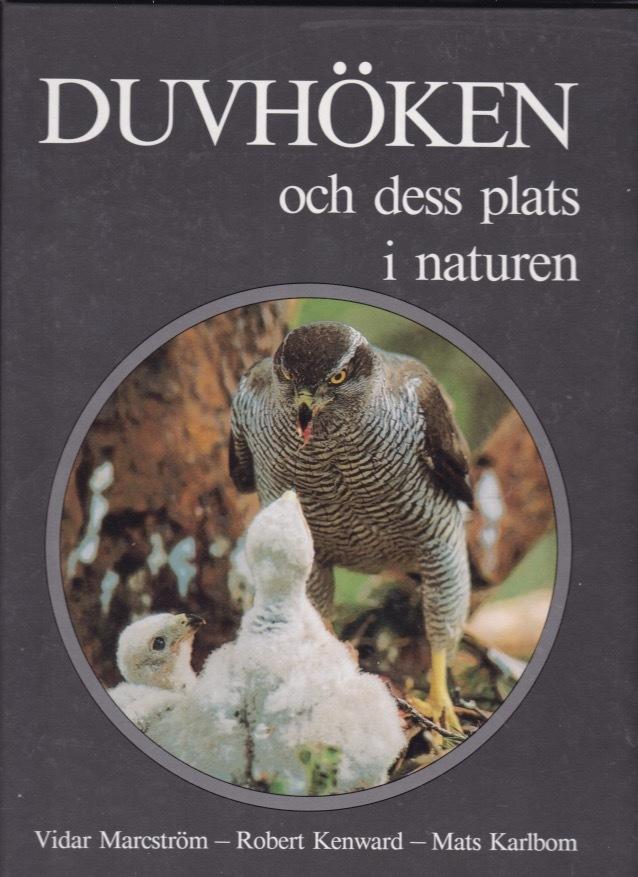Duvhöken och dess plats i naturen