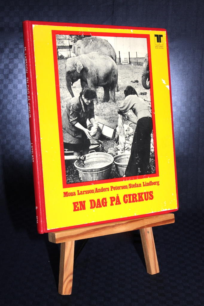 En dag på cirkus