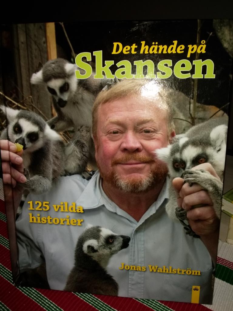 Det hände på Skansen : 125 vilda historier