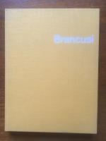 Brancusi: A Study of the Sculpture