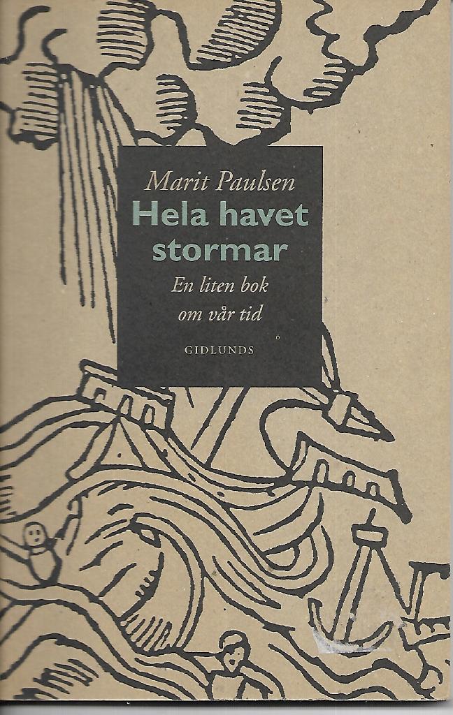 Hela havet stormar : en liten bok om vår tid