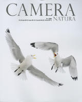 Camera natura 2020:1