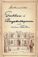 Gubbar i bergskollegium och andra filistéer : minnesbilder på vers och litet prosa från Filipstad med omnejd /