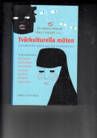 TVÄRKULTURELLA MÖTEN GRUNDBOK FÖR PSYKOLOGER OCH SOCIALARBETARE