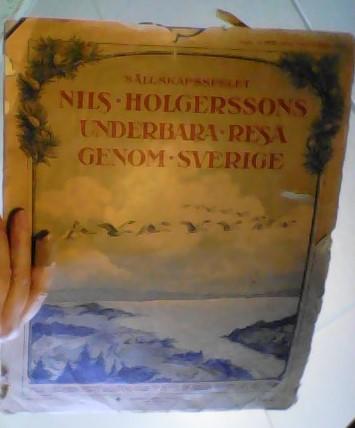 Sällskapsspelet Nils Holgerssons underbara resa genom Sverige