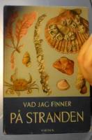 Vad jag finner på stranden