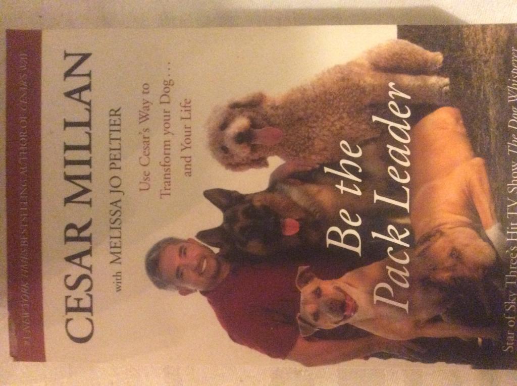 Cesar Millan Leader Of The Pack