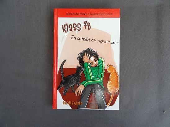 Klass 7B: En känsla av november