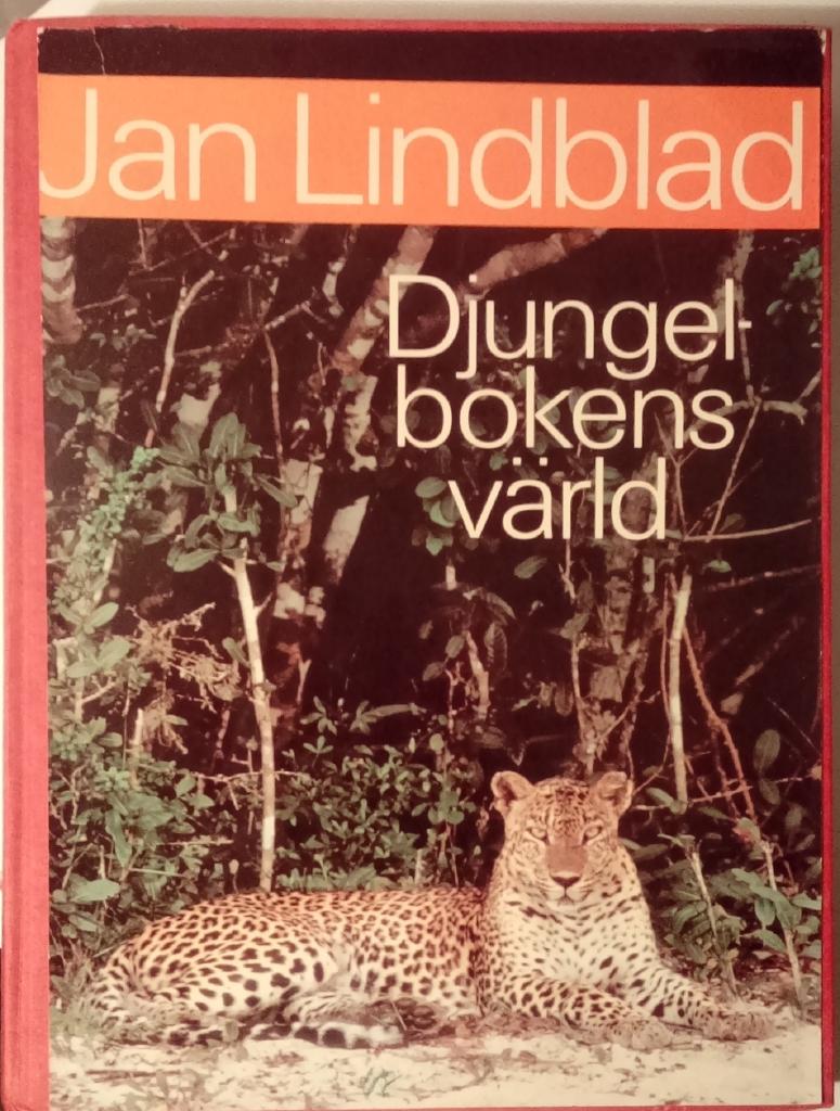 Djungelbokens värld
