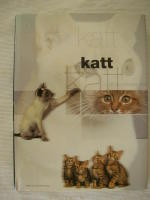 Katt, Allt du behöver veta