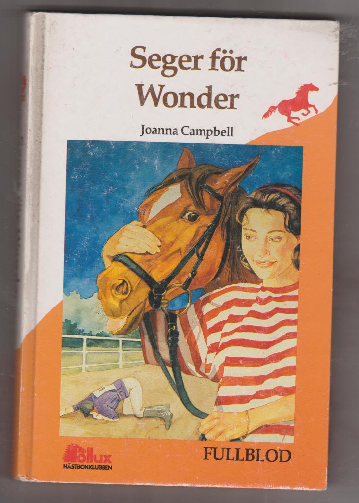 Seger för Wonder