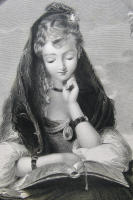 THE GENTLE STUDENT