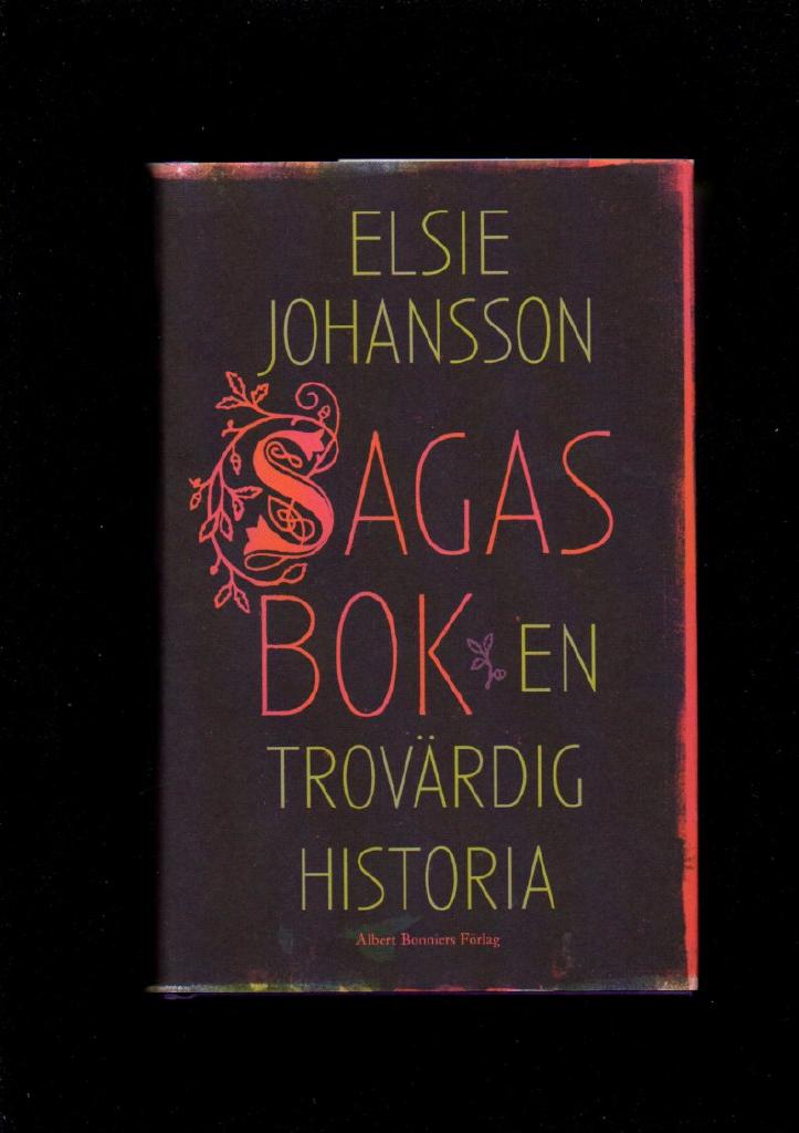 Sagas bok. En trovärdig historia