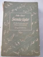 Svenska Fåglar