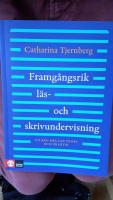 Framgångsrik läs- och skrivundervisning : En bro mellan teori och praktik