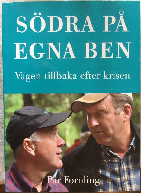 Södra på egna ben : vägen tillbaka efter krisen