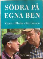 Södra på egna ben : vägen tillbaka efter krisen