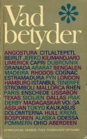 Vad betyder : Etymologisk ordbok över främmande ortnamn