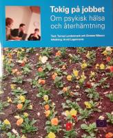 Tokig på jobbet : om psykisk hälsa och återhämtning