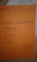 falskt medvetande