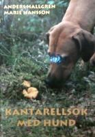 Kantarellsök med hund