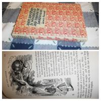 Alices Aventures in wonderland and through the looking glass