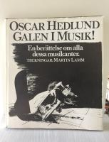 Galen i musik! : En berättelse om alla dessa musikanter