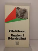 Ungdom i u-landstjänst