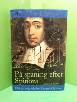 På spaning efter Spinoza : Glädje, sorg och den kännande hjärnan