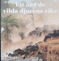 Ett år i de vilda djurens rike