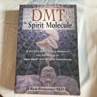 DMT : the spirit molecule : a doctor's revolutionary research into the biology of near-death and mystical experiences