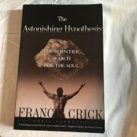 The astonishing hypothesis : the scientific search for the soul