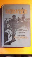 Amerikafebern eller svenska öden i Amerika