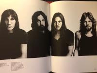 Pink floyd - their mortal remains