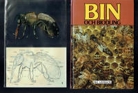Bin och biodling