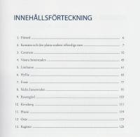 Konstguide : skulpturer och minnesmärken i Malmö 2001