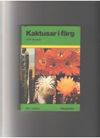 Kaktusar i färg