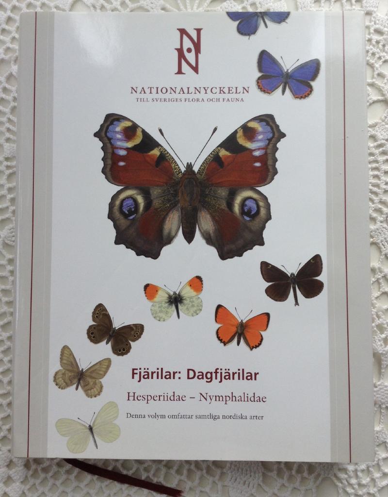 Fjärilar: Dagfjärilar: Hesperiidae-Nymphalidae klotband
