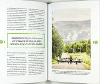 ÄGODELA : köp mindre - få tillgång till mer
