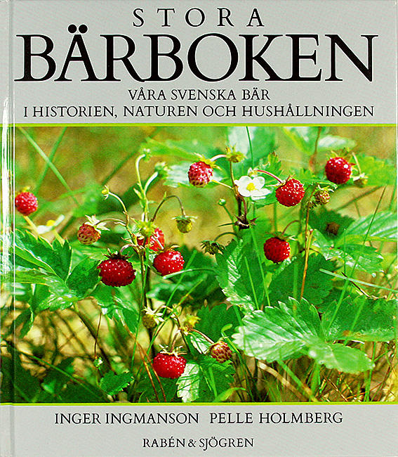 STORA BÄRBOKEN
