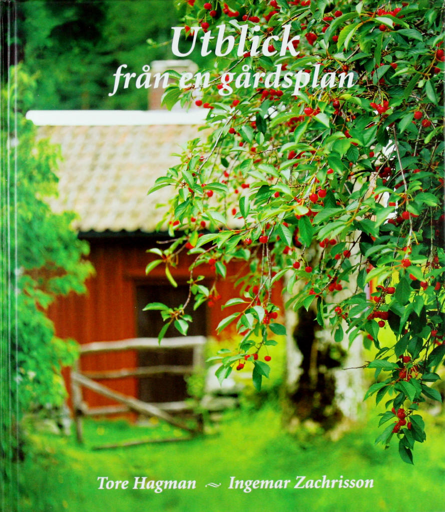 UTBLICK FRÅN EN GÅRDSPLAN
