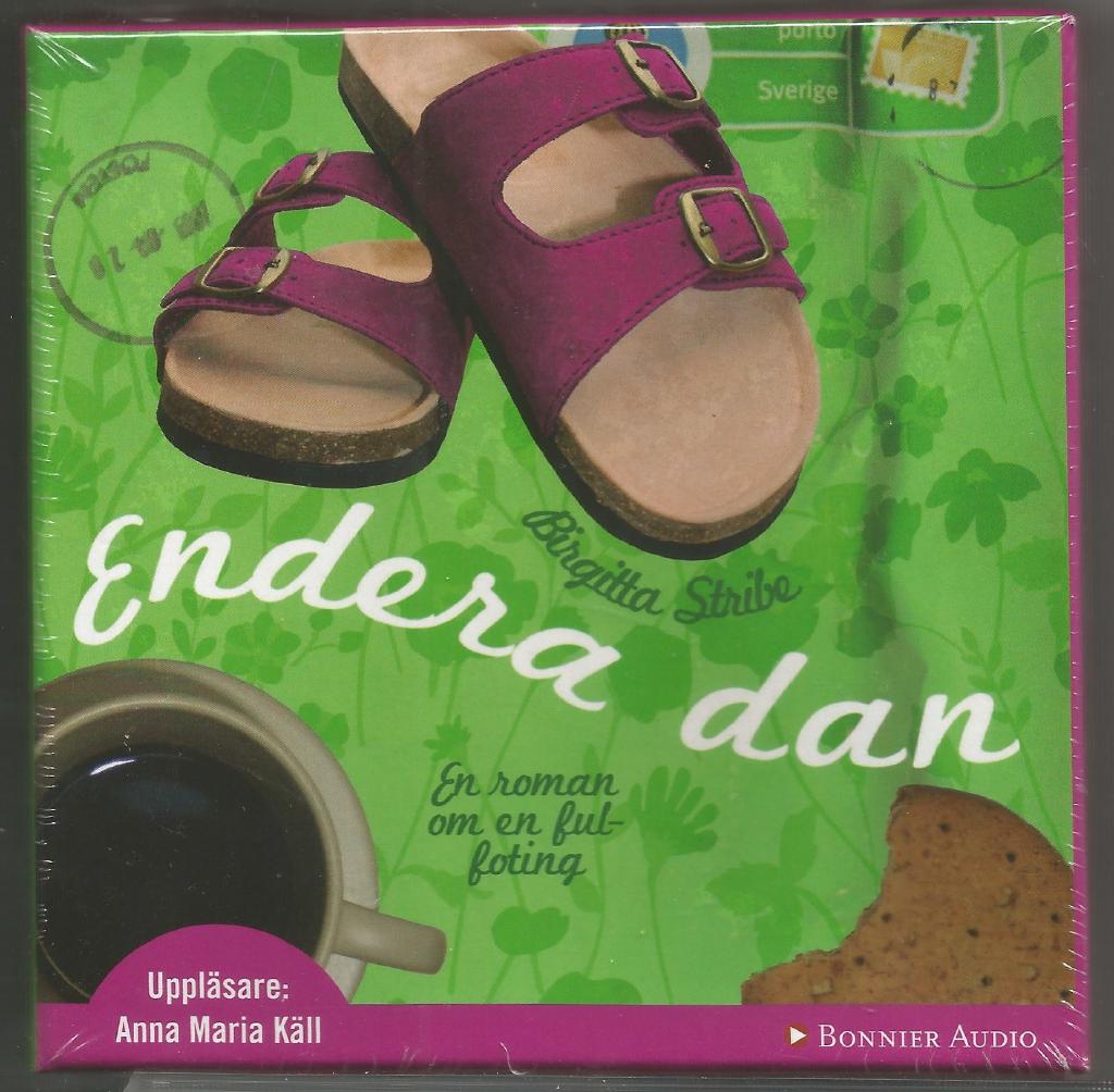 Endera dan : en roman om en fulfoting