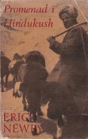 Promenad i Hindukush