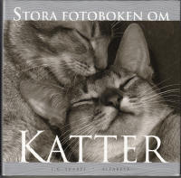 Stora Fotoboken om Katter