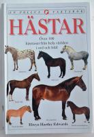 Hästar Över 100 hästraser från hela världen i ord och bild