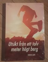 Utsikt från ett tolv meter högt berg