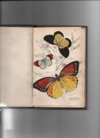 The Naturalist’s Library. Entomology V. Foreign Butterflies.
