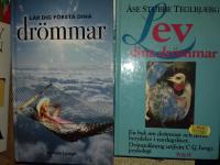 Lär dig förstå dina drömmar + boken Lev dina drömmar isbn 9146152814