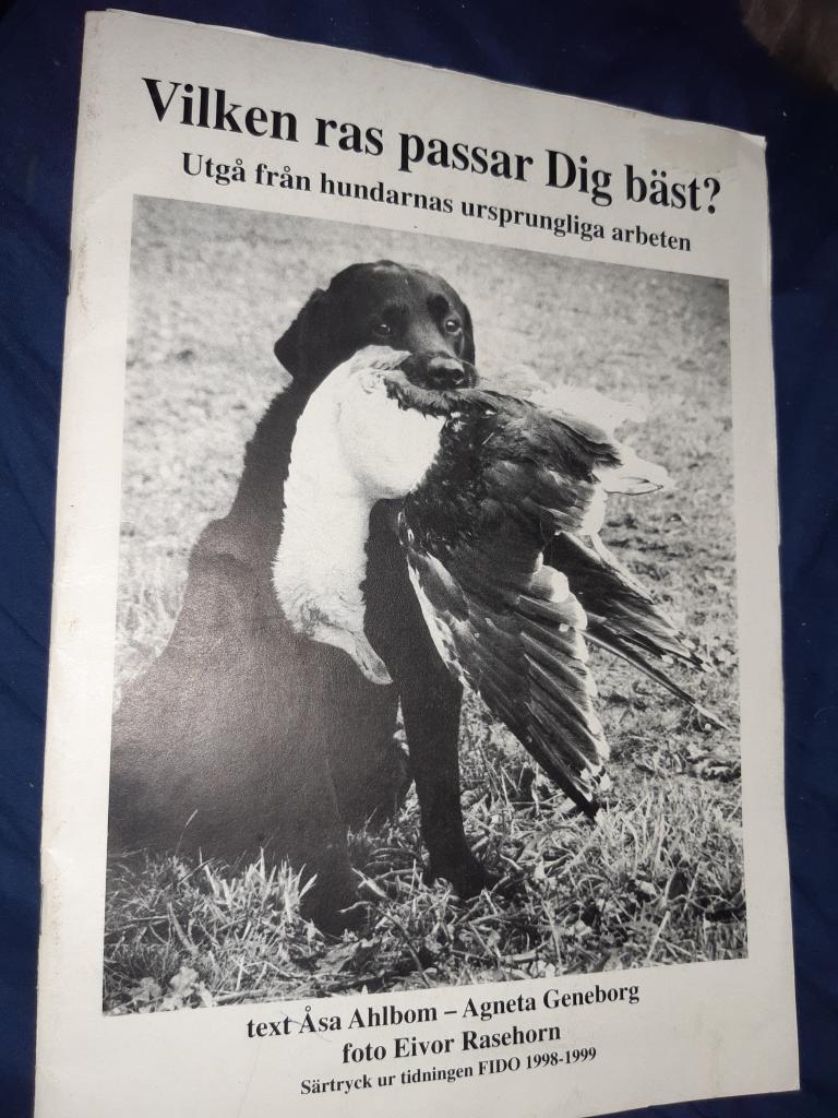 Vilken ras passar dig bäst? Utgå från hundarnas ursprungliga arbeten